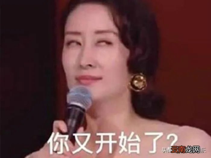 京城四美榜首——韩雪 韩雪个人资料及家庭背