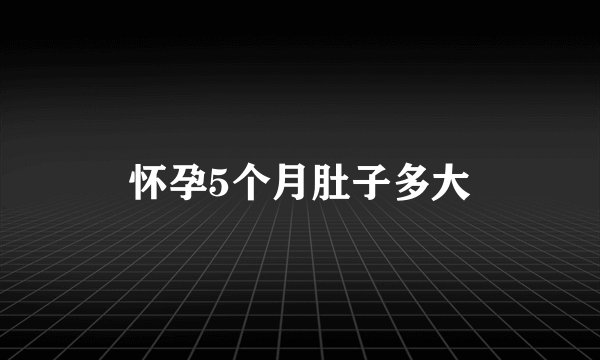 怀孕5个月肚子多大