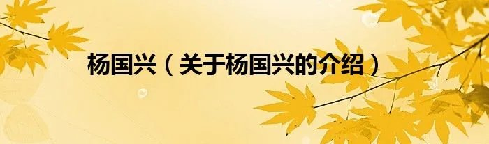 杨国兴（关于杨国兴的介绍）