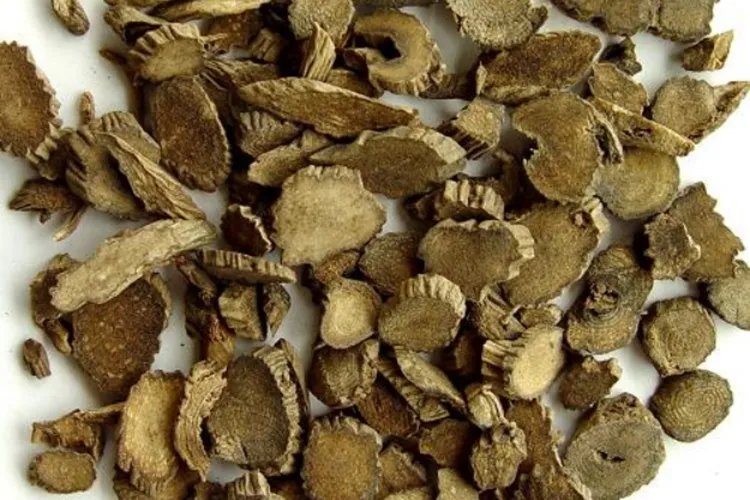 牛膝的功效与作用图片