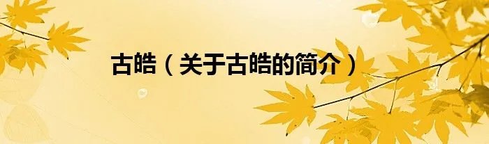 古皓（关于古皓的简介）