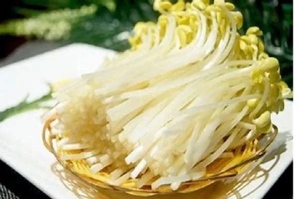 黄豆芽生长过程