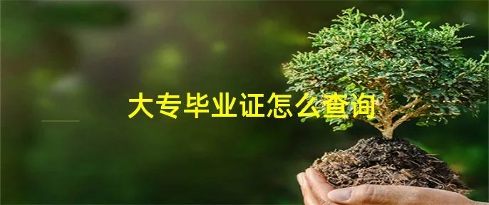 大专毕业证怎么查询