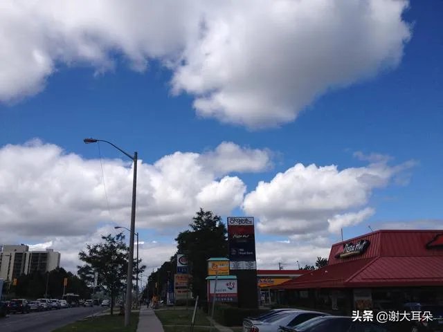 什么是留学垃圾?