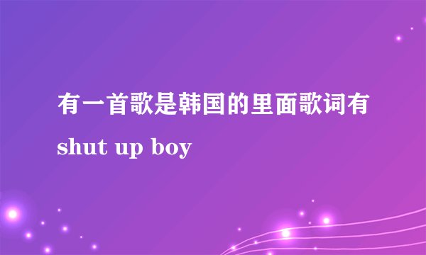 有一首歌是韩国的里面歌词有shut up boy