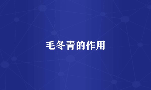 毛冬青的作用