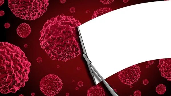 什么是高位截瘫？