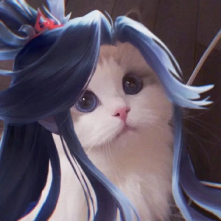 《王者荣耀》猫咪接头头像大全