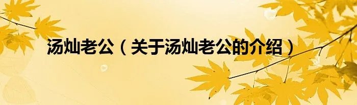 汤灿老公（关于汤灿老公的介绍）