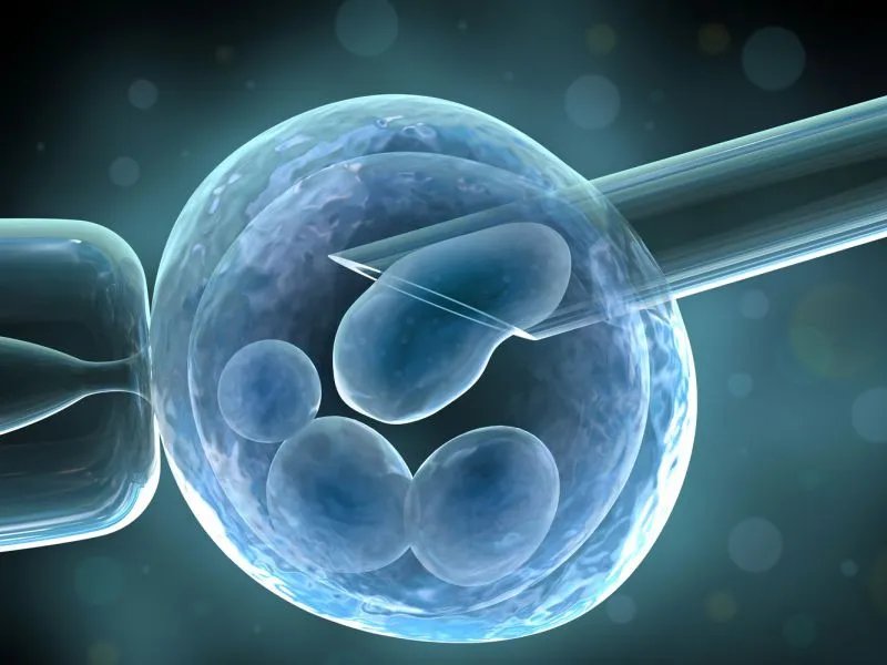 导致受精卵着床失败的原因