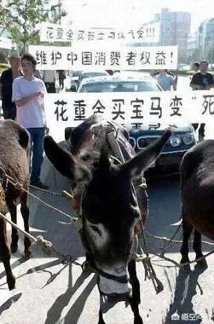 奔驰女车主是一个怎么样的人？