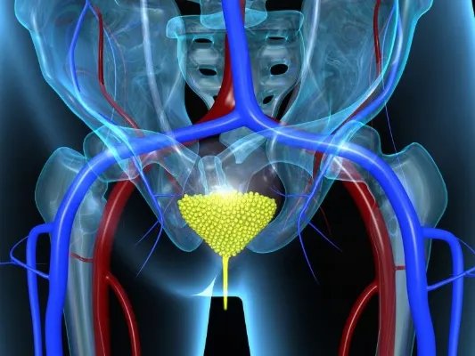 膀胱触诊的注意事项