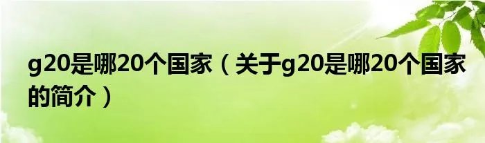 g20是哪20个国家（关于g20是哪20个国家的简介）