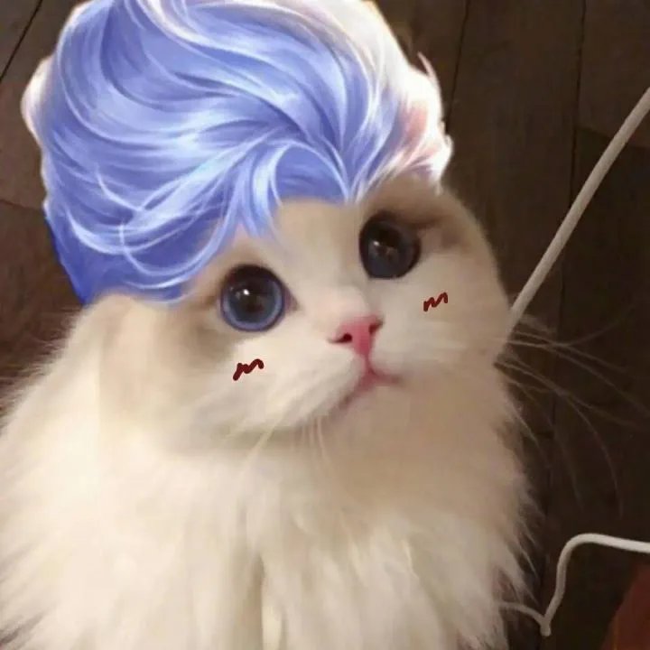 《王者荣耀》猫咪接头头像大全