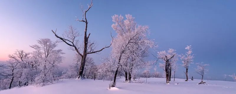 今年冬天会不会很冷 今年冬季会很冷吗