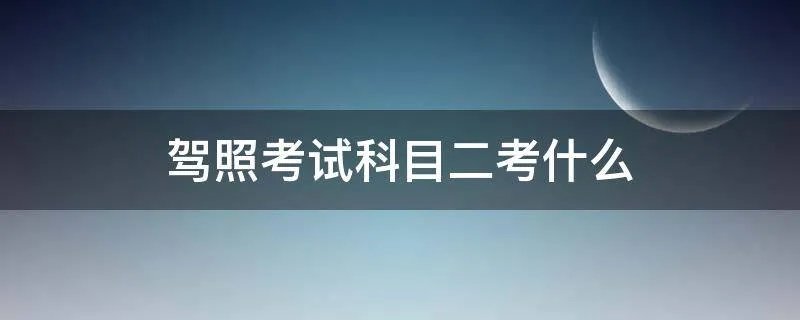 驾照考试科目二考什么