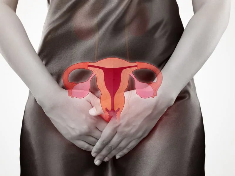 精子和卵子结合的过程