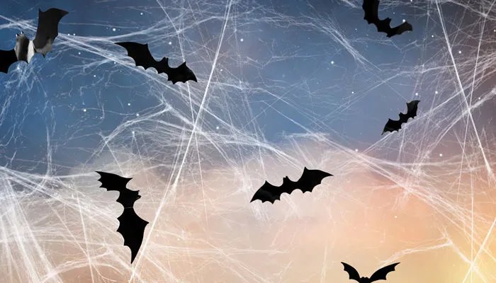 会飞的蝙蝠属于哪类动物