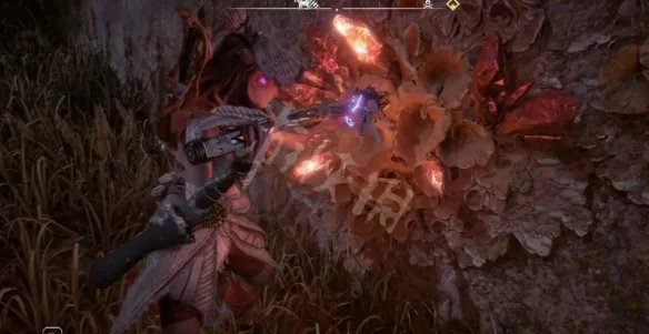 《地平线2西部禁域》遗迹无人地带密码是什么？遗迹无人地带收集攻略