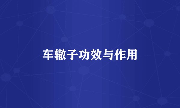 车辙子功效与作用