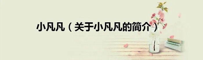 小凡凡（关于小凡凡的简介）