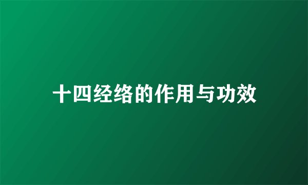 十四经络的作用与功效