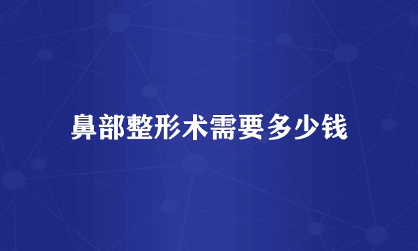 鼻部整形术需要多少钱