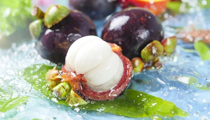 山竹是什么意思