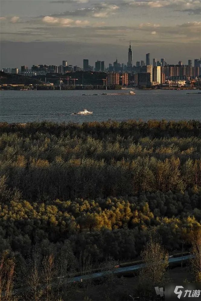 《犯罪大师》救援行动正确答案是什么 救援行动答案详解