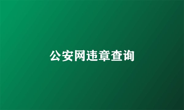 公安网违章查询