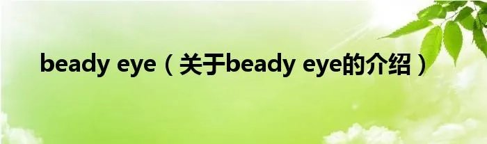 beady eye（关于beady eye的介绍）