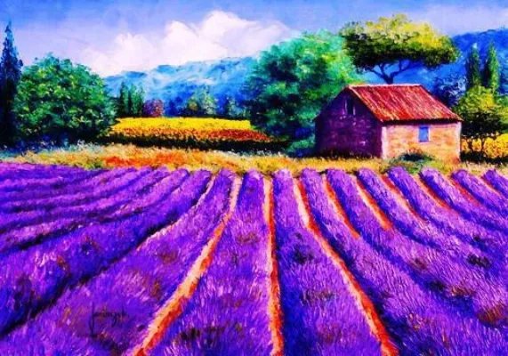 王婿叶飞唐若雪小说免费阅读