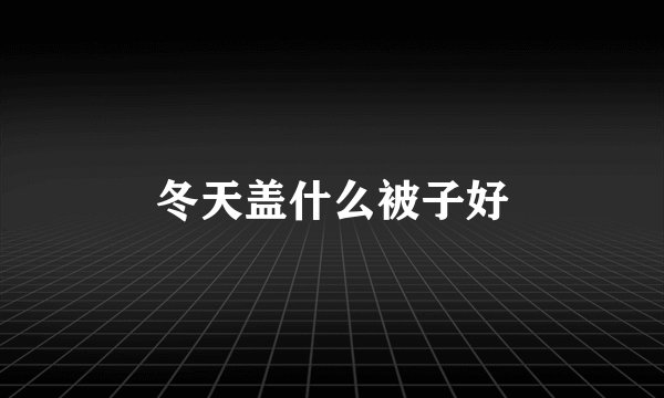 冬天盖什么被子好