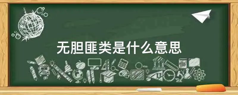 无胆匪类是什么意思