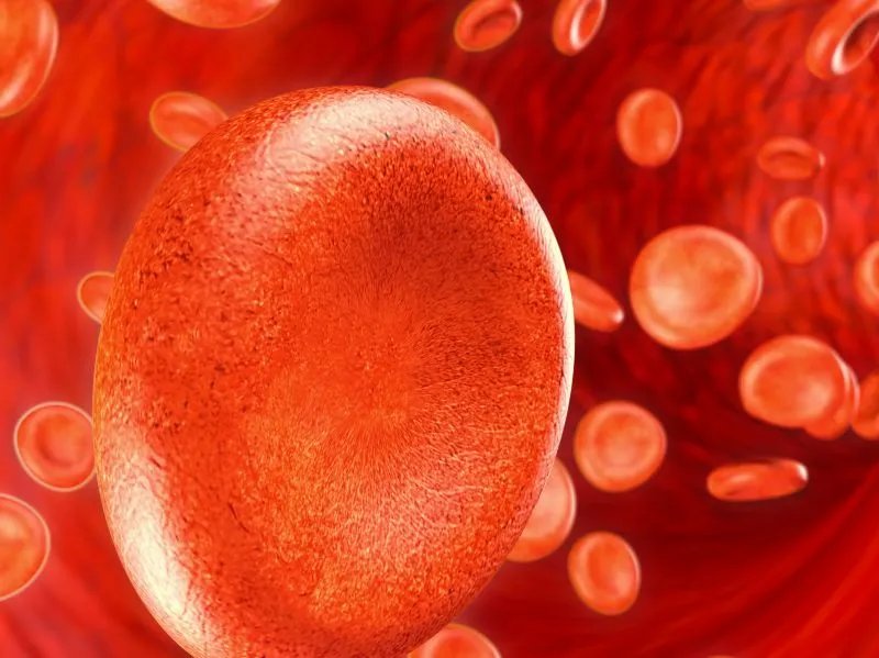 血清碱性磷酸酶偏低怎么办