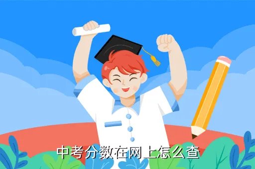 中考成绩查询2019，中招分数查询