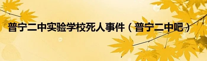 普宁二中实验学校死人事件（普宁二中吧）