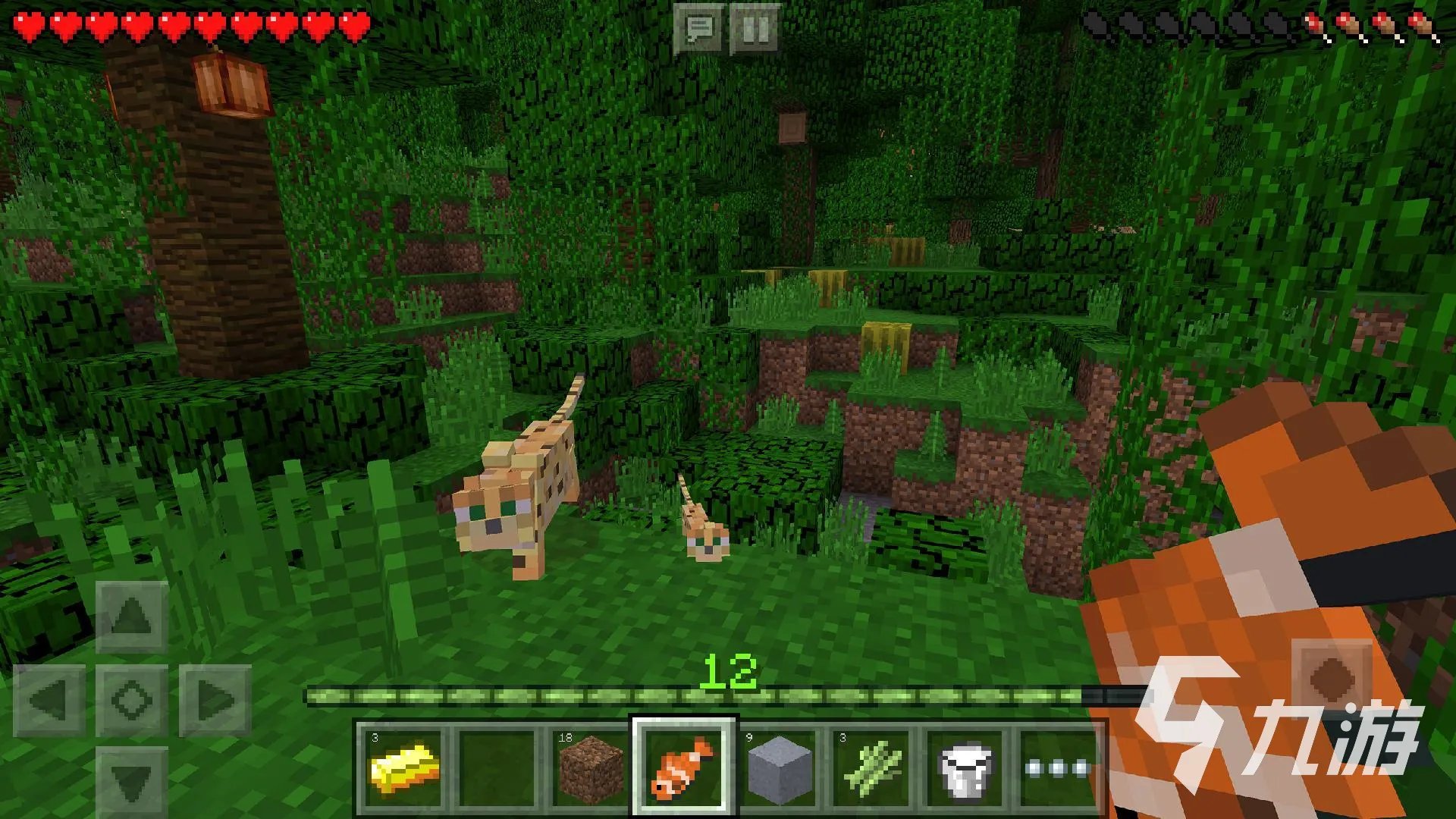 十大适合平板玩的大型单机游戏2021 好玩的单机游戏推荐