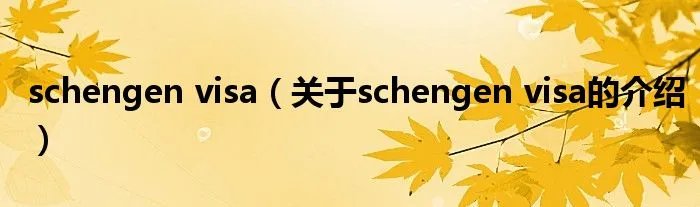 schengen visa（关于schengen visa的介绍）