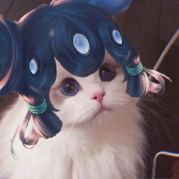 《王者荣耀》猫咪接头头像大全