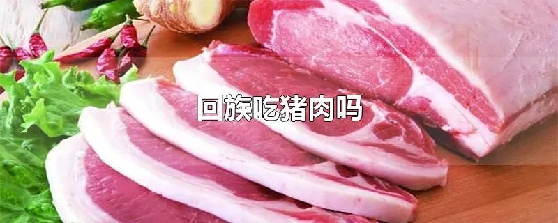 回族吃猪肉吗