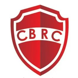 骆驼评级法的简介