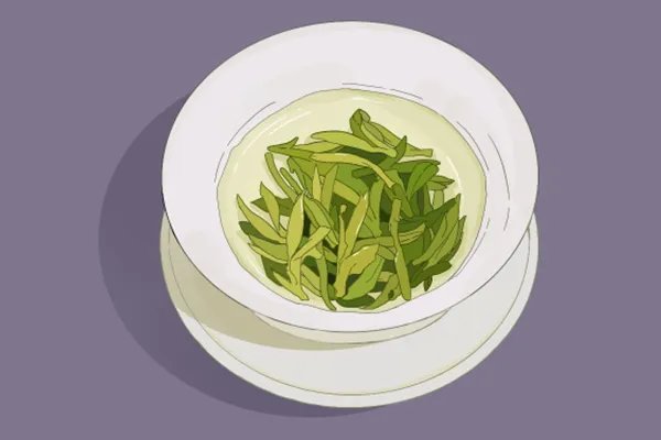 生侧柏叶的功效与作用