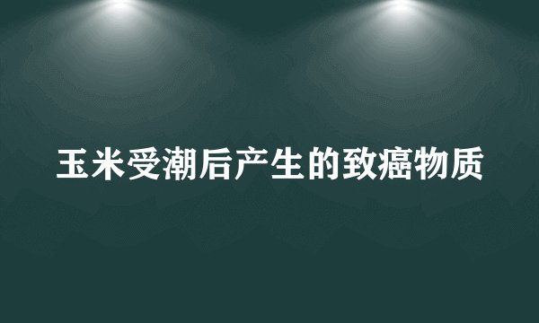 玉米受潮后产生的致癌物质