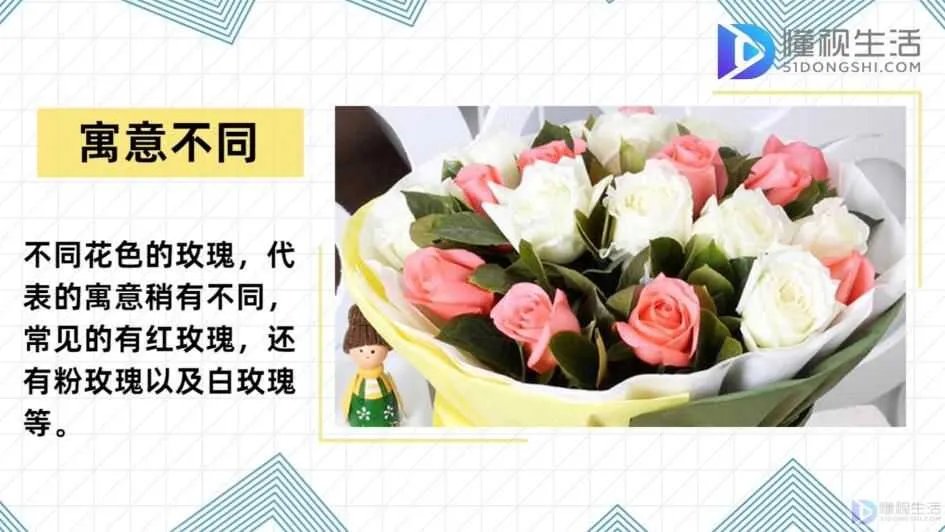 20朵玫瑰代表什么