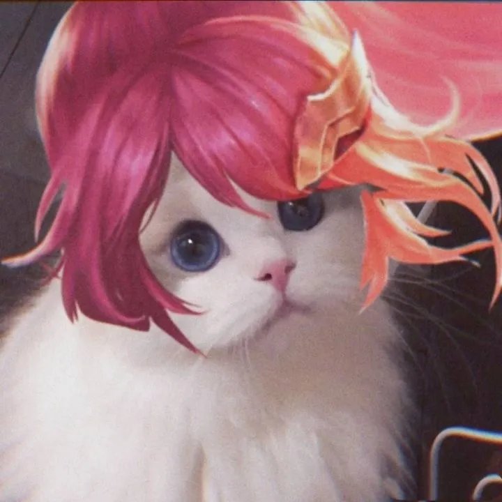 《王者荣耀》猫咪接头头像大全