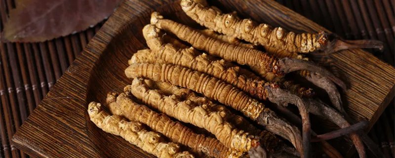 青藏高原的特产是什么