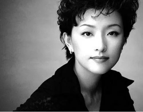 杨澜的前夫资料简介  完美女人的情感世界