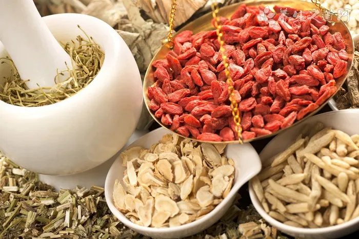 黑节草的功效与作用