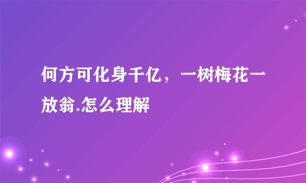何方可化身千亿，一树梅花一放翁.怎么理解